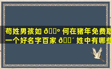 苟姓男孩如 🌺 何在猪年免费取一个好名字百家 🐴 姓中有哪些适合男孩的名字